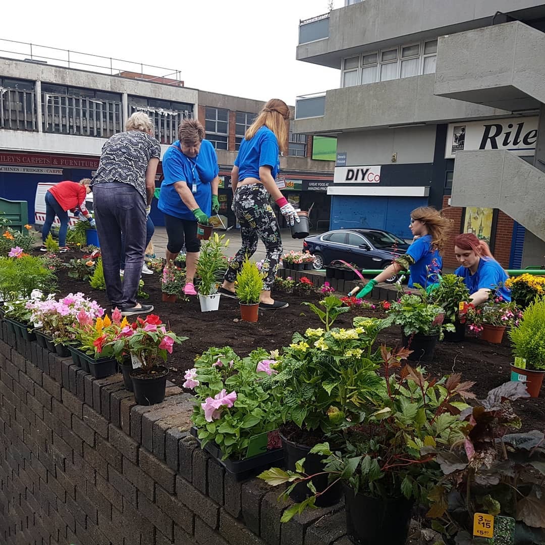 Gente plantando flores